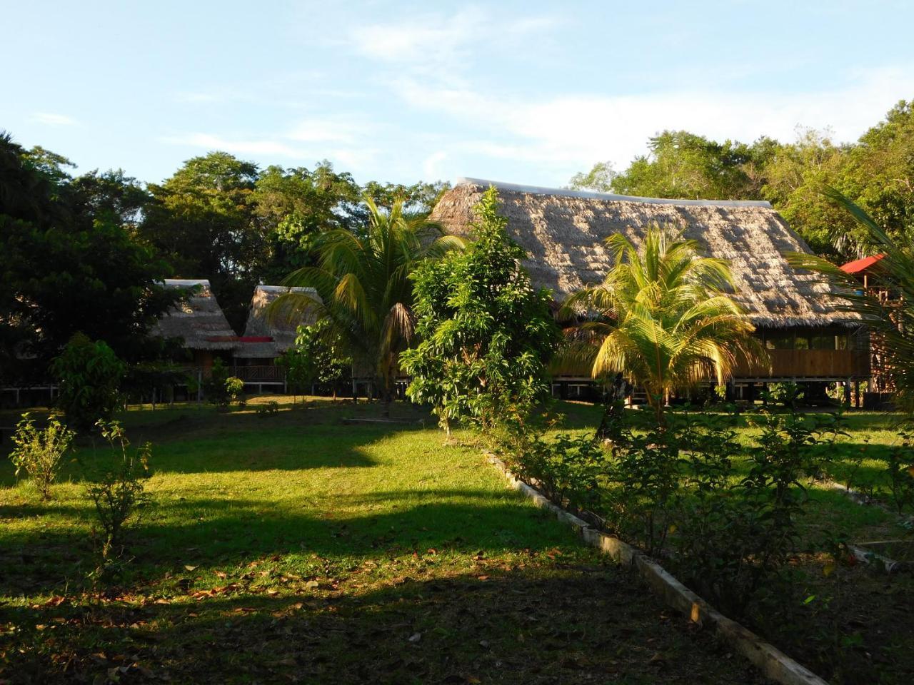 Intillama Jungle Lodge Eirl Paucarpata  ภายนอก รูปภาพ