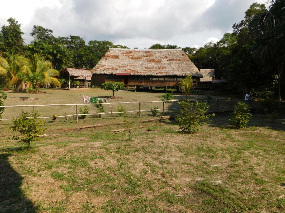 Intillama Jungle Lodge Eirl Paucarpata  ภายนอก รูปภาพ