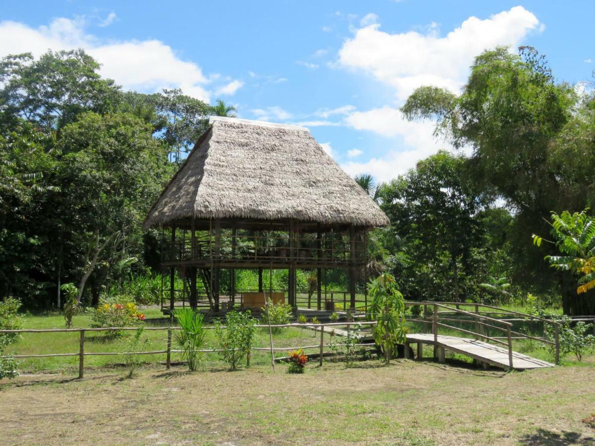 Intillama Jungle Lodge Eirl Paucarpata  ภายนอก รูปภาพ